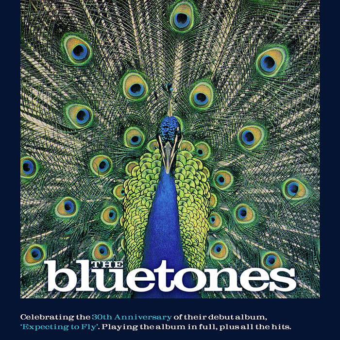 The Bluetones: 'Expecting To Fly' 30th Anniversary Tour