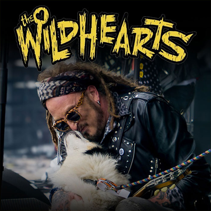  the wildhearts 